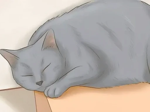 A gray cat lies on a light-colored floor with its head resting on a wooden surface. The cat's eyes are closed, and its body appears relaxed, indicating it is calm and ready for the next step in the process.