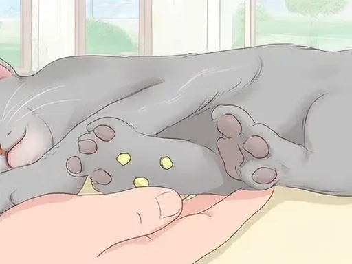 A hand holds a gray cat's paw, which has several small adhesive electrodes placed on the pads. The cat is lying on a light-colored surface, and the background includes a window with a view of greenery outside.