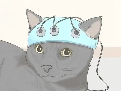 A gray cat wears a light blue EEG cap with four visible electrode pads attached to its scalp. The cap fits snugly over the head, ensuring the electrodes make proper contact. The background is plain and light-colored, focusing attention on the cat and the cap.